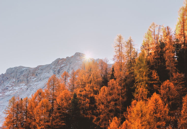 10 of the Best Hikes in the US for Fire Fall Foliage