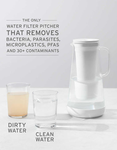 LifeStraw Home + 6 month replacement pack.