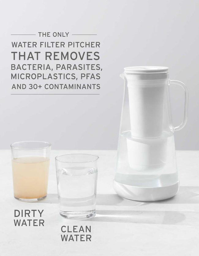 LifeStraw Home + 6 month replacement pack.